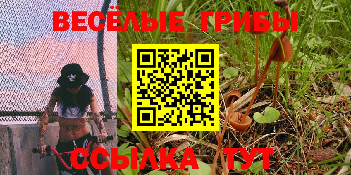 Галлюциногенные грибы Psilocybine cubensis  Вход с VPN  Сыктывкар 