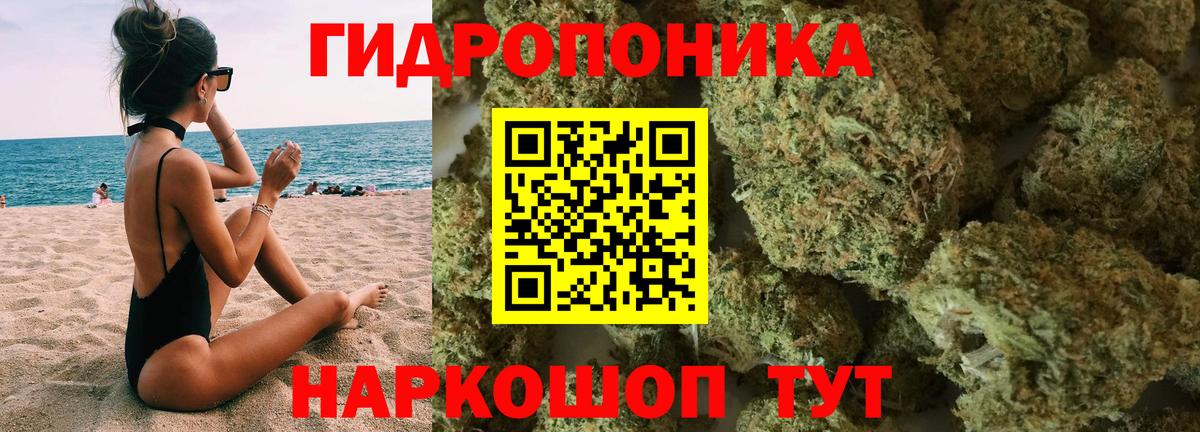 Сыктывкар  Бошки Шишки SATIVA & INDICA  Вход с VPN  Бошки марихуана LSD WEED 